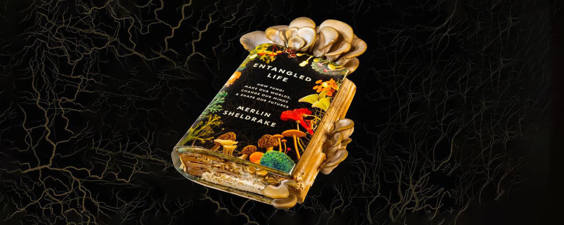 The 7 Best Books About Mushrooms