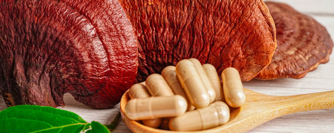 Take on your day, without losing your mind: The Benefits of Red Reishi